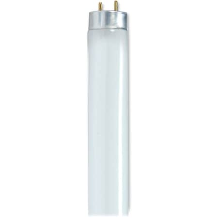 Satco Satco 25-watt 48'' T8 Fluorescent Bulb SDNS8440